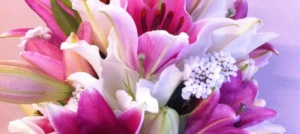 Enjoy Mothers Day at the Boatshed Markets